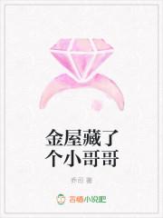 金屋藏了个小哥哥